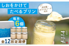 【全12回定期便】しおが主役 しおをかけてたべる プリン 花塩 プレーン 6個 セット 糸島市 / またいちの塩 [AEB009]