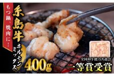 A4ランク 和牛 ホルモンミックス 400g もつ鍋 ホルモン焼き 糸島牛 糸島市 / 一番田舎 [AGN005] 黒毛和牛 肉 牛肉