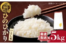 【1週間以内に発送】＼ 令和6年産 ／  いとし米 厳選ひのひかり 5kg (糸島産) 糸島市 / 三島商店 [AIM019] 米 白米
