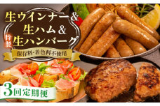 【全3回定期便】特製 生ハンバーグ 生ハム 生ウインナー 3種 セット 糸島市 / 志摩スモークハウス 肉 加工品 [AOA029]