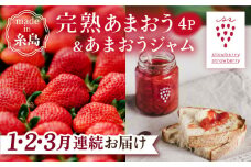 【先行受付】【全3回定期便】完熟 あまおう 270g × 4パック / あまおうジャム 140g × 3本 苺 いちご【2026年1月より順次発送】 糸島市 / slowberry strawberry [APJ004]