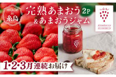 【先行受付】【全3回定期便】完熟 あまおう 270g × 2パック / あまおう ジャム 140g × 3本  【2026年1月より順次発送】 糸島市 / slowberry strawberry 苺 いちご [APJ005]