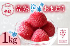 【先行受付】完熟冷凍あまおう 1kg【2026年3月中旬より順次発送】糸島市 / slowberry strawberry [APJ006] あまおう いちご 果物