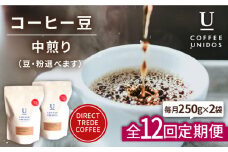 【全12回定期便】中煎り コーヒー 豆 ウニドスブレンド 250g × 2袋 ( 豆 ・ 粉 選べます ) 糸島市 / COFFEE UNIDOS [AQF023]