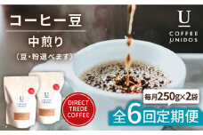 【全6回定期便】中煎り コーヒー 豆 ウニドスブレンド 250g × 2袋 ( 豆 ・ 粉 選べます ) 糸島市 / COFFEE UNIDOS [AQF022]