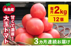 【2024年3月以降順次発送】【全3回定期便】【甘くて濃厚】大玉 トマト 2kg 糸島市 / 大櫛トマトファーム [AQH003]