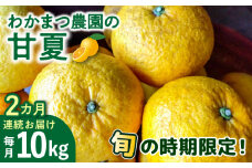 【全2回定期便】【 有機栽培 】 甘夏 10kg 栽培期間中 農薬 不使用 糸島市 / わかまつ農園 / 果物 フルーツ [AHB051]