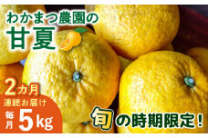 【全2回定期便】【有機栽培】甘夏 5kg 栽培期間中 農薬不使用 糸島市 / わかまつ農園 果物 フルーツ [AHB052]