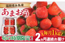 【先行予約】【全2回定期便】 糸島産【冬】 あまおう 4パック 毎月計1kg 【2025年12月上旬以降順次発送】 糸島市 / 南国フルーツ株式会社 [AIK024]