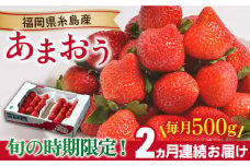 【先行予約】【全2回定期便】糸島産【冬】 あまおう 2パック 毎月計500g【2025年12月上旬以降順次発送】 糸島市 / 南国フルーツ株式会社 [AIK025]