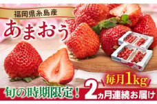 【先行予約】【全2回定期便】糸島産【春】 あまおう 4パック 計1kg 【2026年2月より順次発送】 糸島市 / 南国フルーツ株式会社 [AIK026]