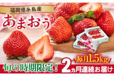 【先行予約】【全2回定期便】糸島産【春】 あまおう 6パック 毎月計1.5kg 【2026年2月より順次発送】 糸島市 / 南国フルーツ株式会社 [AIK027]