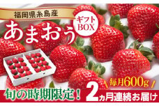 【先行予約】【全2回定期便】糸島産 あまおう ギフト 箱 毎月600g ( 24-30粒 )【2026年1月より順次発送】 糸島市 / 南国フルーツ株式会社 [AIK028]