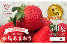 【全2回定期便】糸島の美味い あまおう 270g × 2パック (A品B品含む3L〜5L) 糸島市 / 磯本農園 / TANNAL いちご 苺 イチゴ [ATB026]