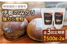 【全3回定期便】特別栽培 小麦 使用 伊都 の みのり( 500g × 2袋 )糸島市 / 天然パン工房楽楽【いとしまごころ】 [AVC066]