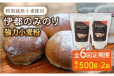 【全6回定期便】特別栽培 小麦 使用 伊都 の みのり( 500g × 2袋 )糸島市 / 天然パン工房楽楽【いとしまごころ】 [AVC067]
