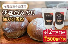 【全12回定期便】特別栽培 小麦 使用 伊都 の みのり( 500g × 2袋 )糸島市 / 天然パン工房楽楽【いとしまごころ】 [AVC068]