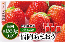 【先行予約】【全2回定期便】【 数量限定 】 あまおう いちご 1,620g ( 約 270g × 6パック )【2026年3月初旬より順次発送】 糸島市 / 株式会社HSP-テクノ グランデ 等級 福岡県産 [AZL006]