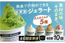 【全6回定期便】行列のできる アイスクリーム 屋 ジェラート 10個 （大人味5種×各2個） アイス 食べ比べ ギフト スイーツ プレゼント 糸島 / LoiterMarket ロイターマーケット [AGD021]