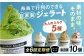 アイス アイスクリーム ジェラート