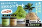 アイス アイスクリーム ジェラート