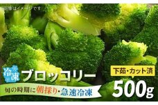 ブロッコリー 500g 冷凍 旬の時期に急速冷凍 【福岡県糸島産】 糸島市 / オーガニックナガミツファーム 野菜 [AGE043]
