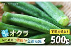 オクラ 500g 冷凍 旬の時期に急速冷凍 【福岡県糸島産】 糸島市 / オーガニックナガミツファーム 野菜 おくら [AGE044]