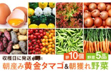 糸島の朝産み黄金タマゴ10個 朝どれ新鮮野菜5品 セット【福岡県糸島産】 糸島市 / オーガニックナガミツファーム 玉子 やさい [AGE046]