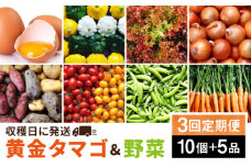 【全3回定期便】糸島の朝産み黄金タマゴ10個 朝どれ新鮮野菜5品 セット【福岡県糸島産】 糸島市 / オーガニックナガミツファーム 玉子 やさい [AGE047]