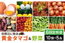 【全6回定期便】糸島の朝産み黄金タマゴ10個 朝どれ新鮮野菜5品 セット【福岡県糸島産】 糸島市 / オーガニックナガミツファーム 玉子 やさい [AGE048]