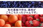 果物 くだもの 果肉 ギフト ジャム 詰め合わせ セット