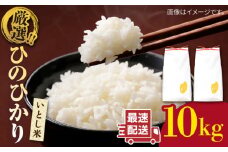 【1週間以内に発送】＼ 令和6年産／ いとし米 厳選ひのひかり10kg (糸島産) 糸島市 / 三島商店 [AIM045] 米 白米