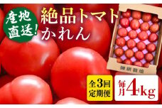 【全3回定期便】糸島産 絶品トマト かれん (4kg28玉前後) 糸島市 / シーブ 野菜 とまと 大玉トマト [AHC066]