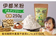 伊都 米粉 玄米 250g 糸島市 / フルタク グルテンフリー 米 [AHN004]
