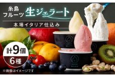 糸島 フルーツ 生ジェラート 9個セット 糸島市 / COCO GELATO [AON001]