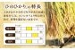 糸島産 雷山 のふもと 栽培期間中 農薬不使用 の 米 10kg（5kg×2）ひのひかり ヒノヒカリ