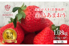 【 年内 発送 】【限定100箱*2023年・年内発送】糸島の美味いあまおう 270g × 4パック (A品B品含むS～2L) 糸島市 / 磯本農園 / TANNAL [ATB020] 12月発送【年内発送は12/27ご入金分まで】