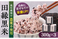 【先行受付】田縁黒米（でんえんくろまい）300g×3パック 【2025年11月下旬以降順次発送】 糸島市 / NPO法人田縁プロジェクト 古代米 黒米 米 ご飯 [ATM003]