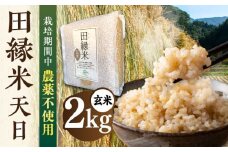 【先行受付】田縁米（でんえんまい）・天日（てんじつ）玄米 2kg 【2025年11月下旬以降順次発送】 糸島市 / NPO法人田縁プロジェクト [ATM002] 米 お米