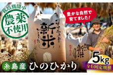 【玄米】【全6回定期便】 糸島産 雷山のふもとの米 農薬不使用 5kg 糸島市 / ツバサファーム [ANI004-2] 白米 玄米