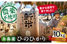 【白米】【全12回定期便】 糸島産 雷山のふもとの米 農薬不使用 10kg 糸島市 / ツバサファーム [ANI008-1] 白米 玄米