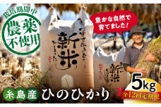 【白米】【全12回定期便】 糸島産 雷山のふもとの米 農薬不使用 5kg 糸島市 / ツバサファーム [ANI005-1] 白米 玄米