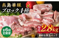 【全6回定期便】【 盛り合わせ 】 糸島華豚 ブロック 肉4品盛合せセット 約2.8kg 糸島市 / 糸島ミートデリ工房 [ACA279]