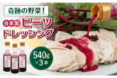 ビーツドレッシング ３本 セット 糸島市 / 農園カフェ 風天 [ASN001] ビーツ 調味料