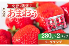 【2025年2月中旬以降順次発送】 農家直送！ 糸島産 完熟あまおう 280g×2パック (S-Gサイズ) 糸島市 / 小河農園 フルーツ 果物 いちご イチゴ 苺 [AJN003]