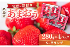 【2025年2月中旬以降順次発送】 農家直送！ 糸島産 完熟あまおう 280g×4パック (S-Gサイズ) 糸島市 / 小河農園 フルーツ いちご 苺 [AJN004]