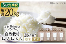 【玄米】【全3回定期便】自然栽培 ヒノヒカリ 20kg 糸島市 / 大石ファーム [ATE035-2]