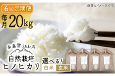 【白米】【全6回定期便】自然栽培 ヒノヒカリ 20kg 糸島市 / 大石ファーム [ATE036-1]