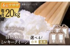 【玄米】【全6回定期便】糸島産 ミルキークイーン 20kg 自然栽培 糸島市 / 大石ファーム [ATE039-2]
