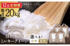 【玄米】【全12回定期便】糸島産 ミルキークイーン 20kg 自然栽培 糸島市 / 大石ファーム [ATE040-2]